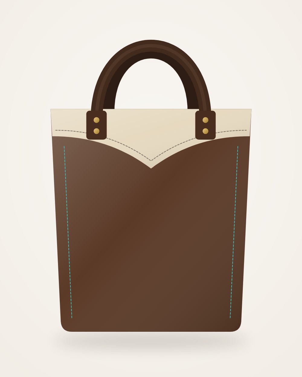 Tucson Boot Tote, back